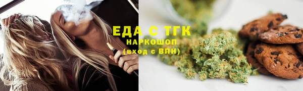 индика Аркадак