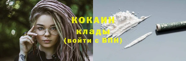 индика Аркадак