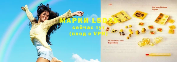 шишки Арсеньев