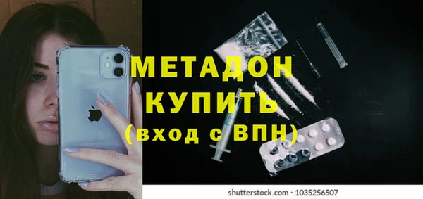 индика Аркадак