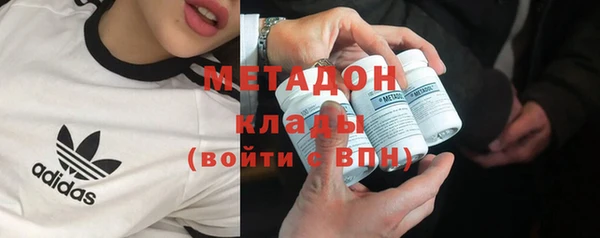 шишки Арсеньев