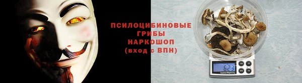 шишки Арсеньев