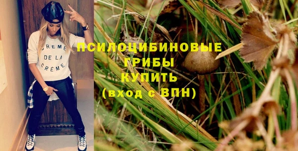 индика Аркадак