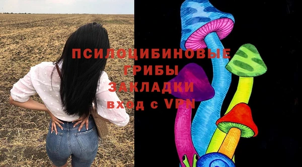 шишки Арсеньев
