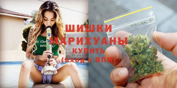 шишки Арсеньев