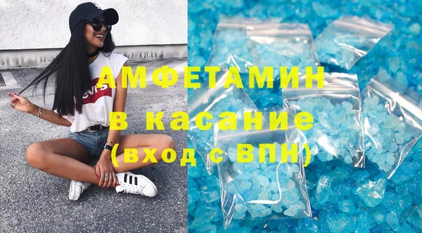 шишки Арсеньев