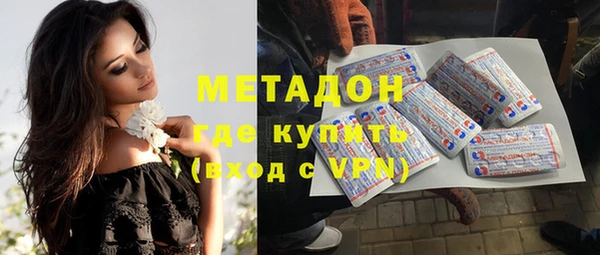 индика Аркадак