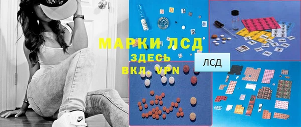 индика Аркадак