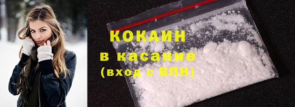 шишки Арсеньев