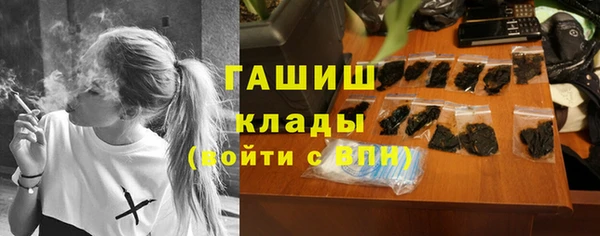 шишки Арсеньев